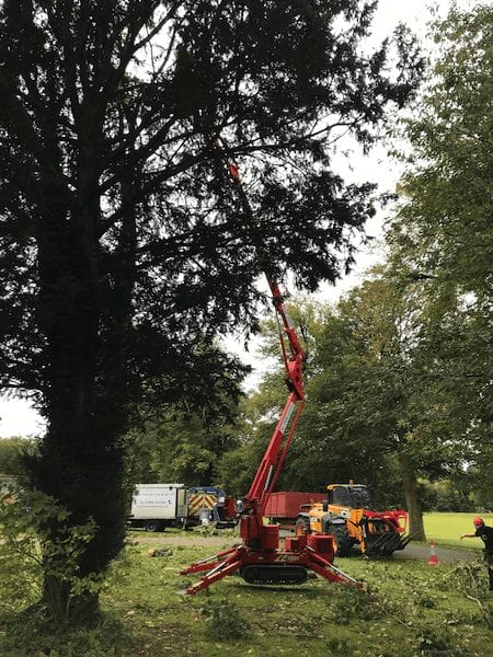 Tree survey with lift